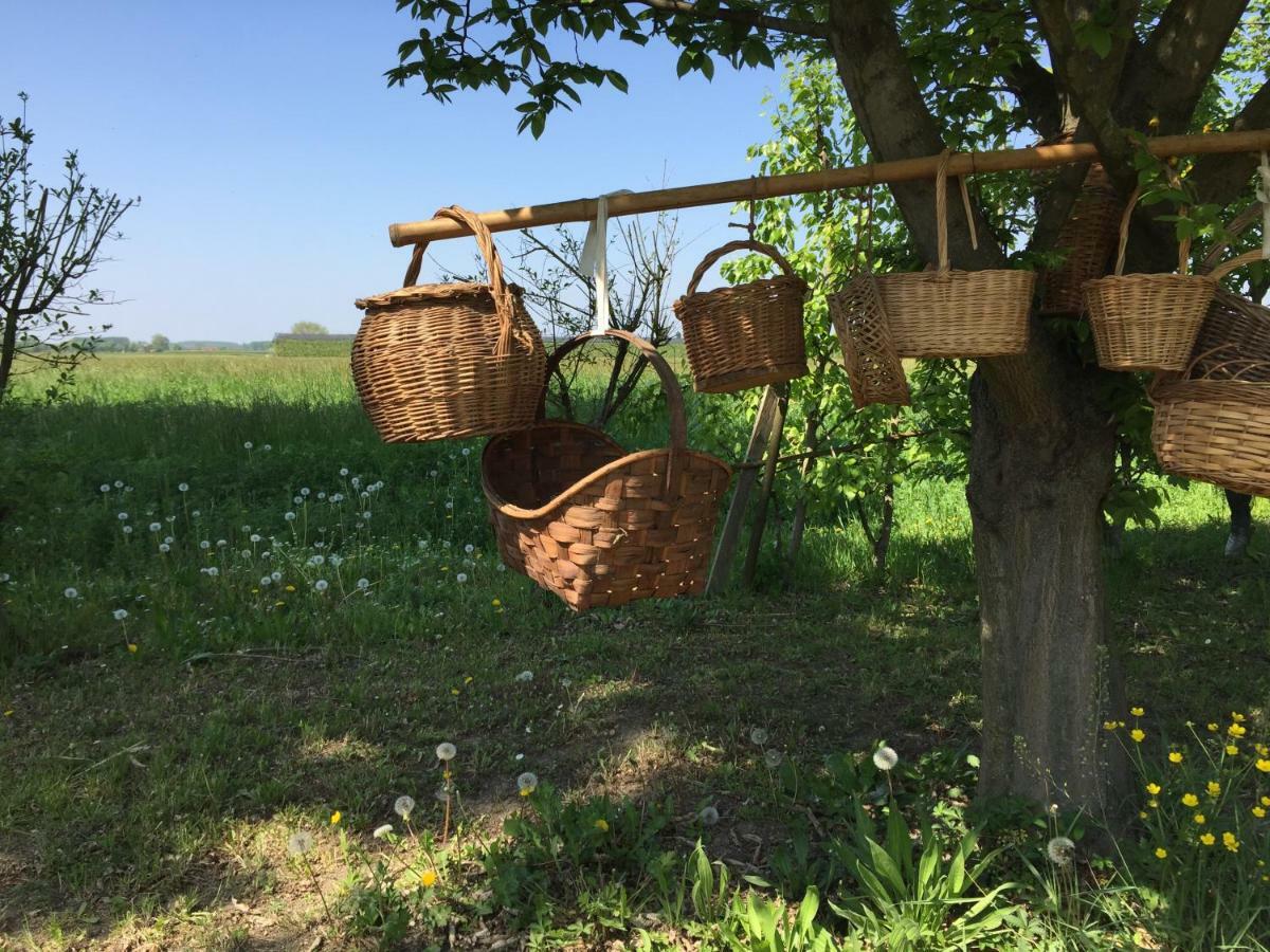 Villa Pacchioni Cavezzo Zewnętrze zdjęcie